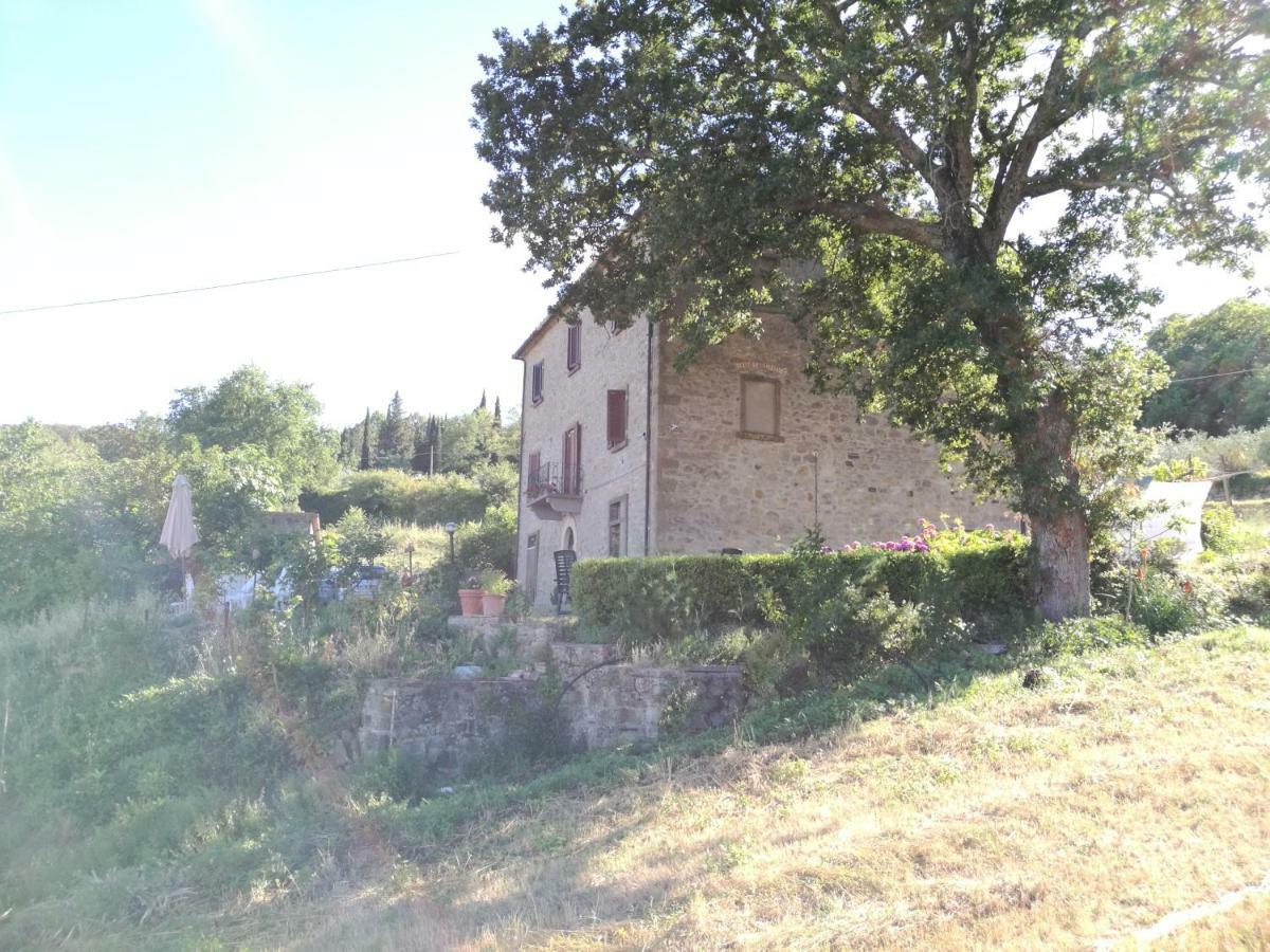 I Castagnini Apartment Montecatini Val di Cecina Exterior photo
