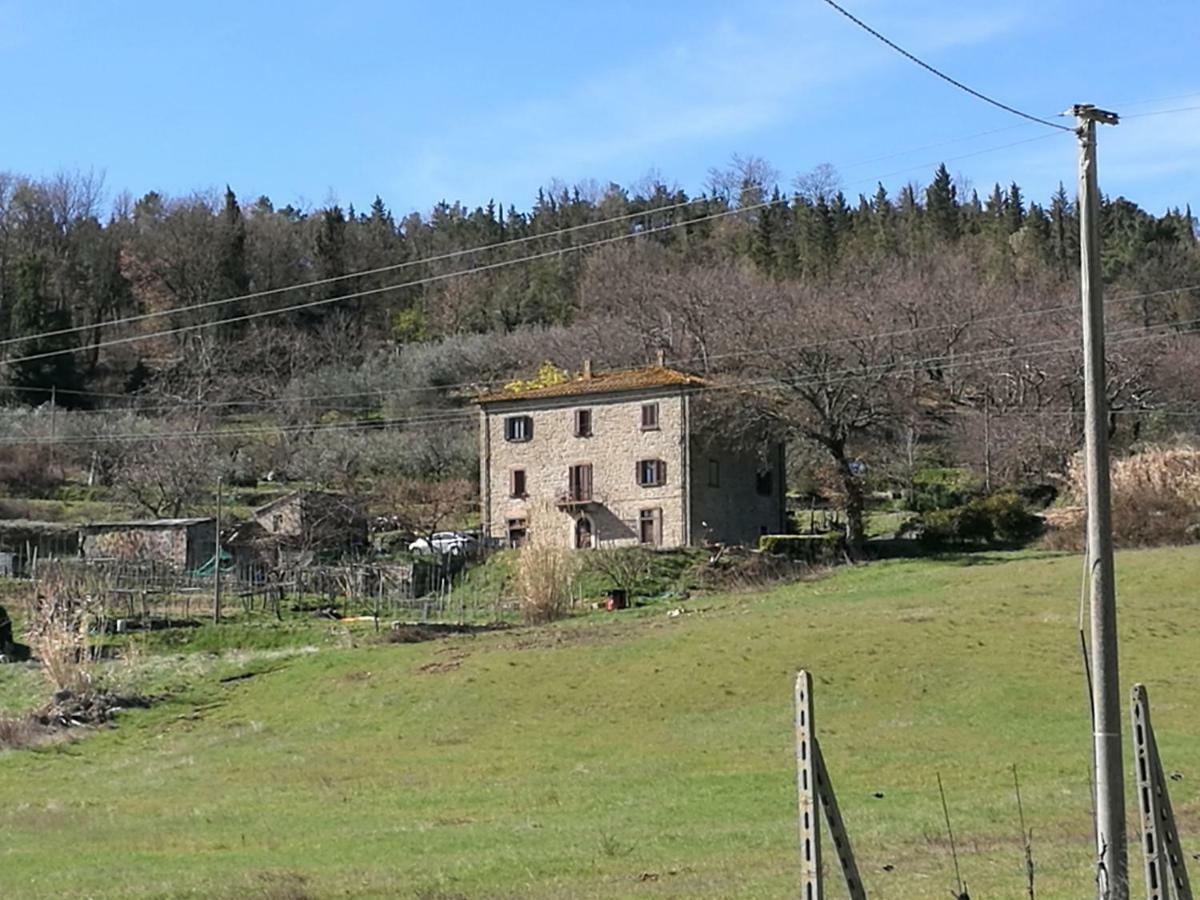 I Castagnini Apartment Montecatini Val di Cecina Exterior photo